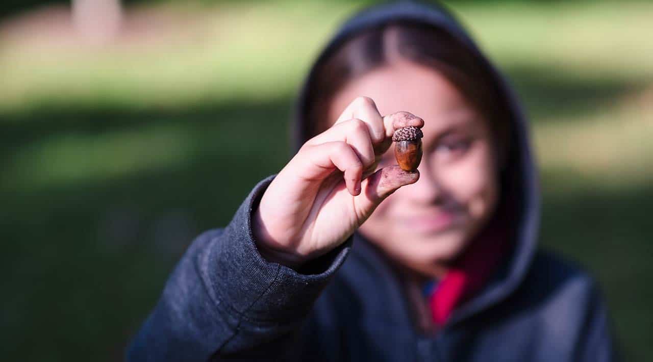 Access to Nature in Lake County