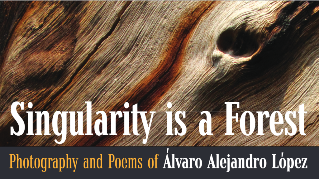 Singularity is a Forest,  Photography and Poems of Álvaro Alejandro López.