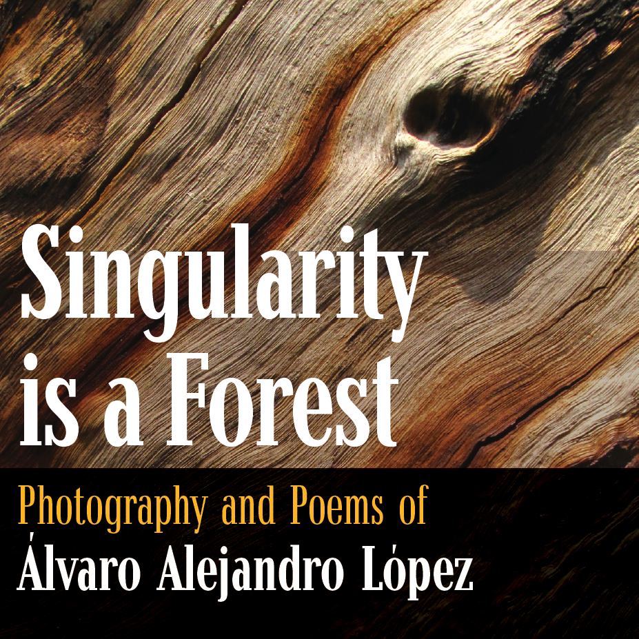 Singularity is a Forest Photography and Poems by Álvaro Alejandro López.