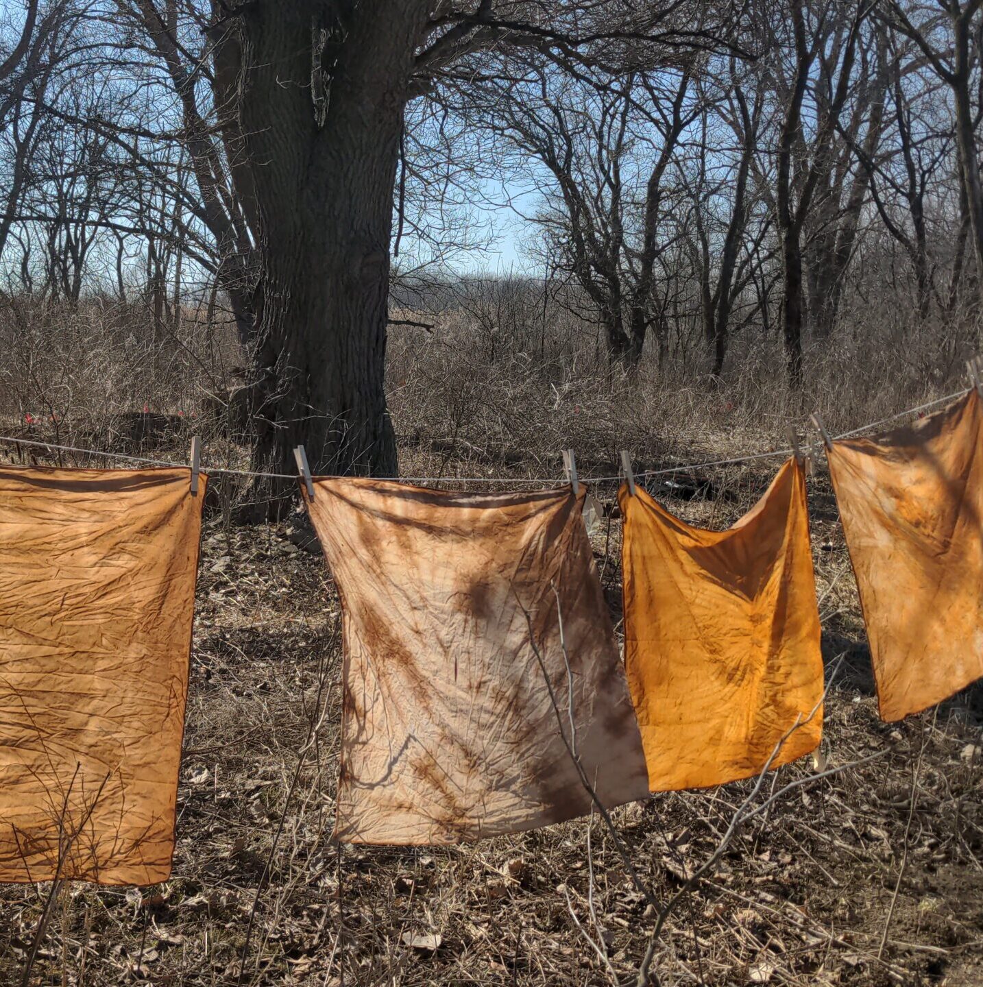 Naturally dyed yellow fabric on a line outside