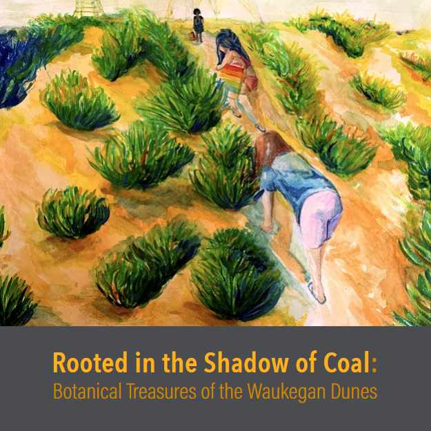 Rooted in the Shadow of Coal: Botanical Treasures of the Waukegan Dunes. Painting "Walking Up the Dune" by Josie Levin