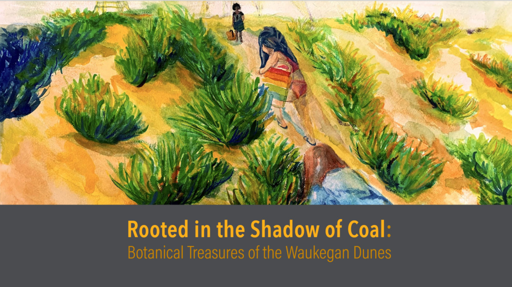 Rooted in the Shadow of Coal: Botanical Treasures of the Waukegan Dunes. Painting "Walking Up the Dune" by Josie Levin. Three figures follow a path up the Dune towards the water, surrounded by dune plants. 