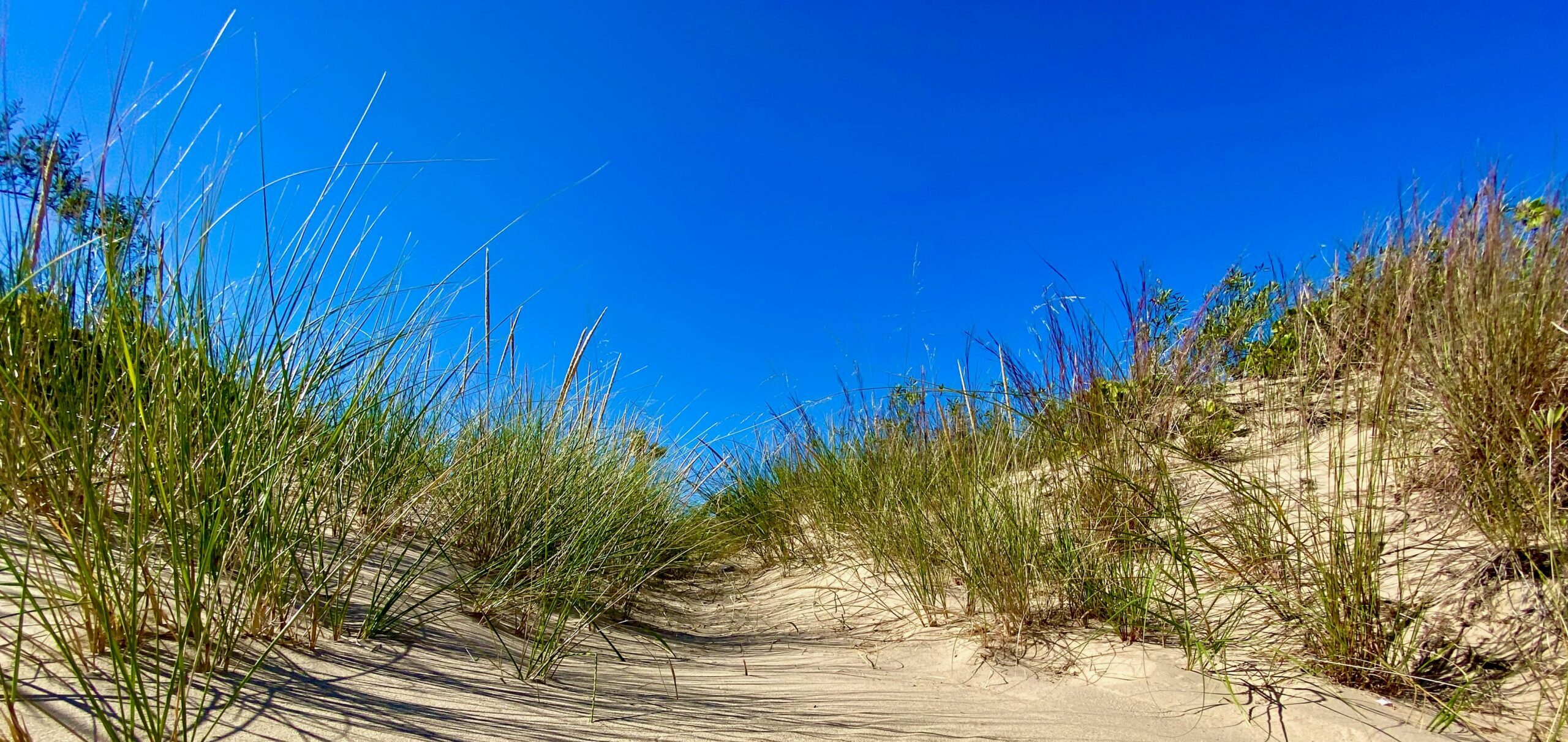 Resilient Nature, Resilient Communities