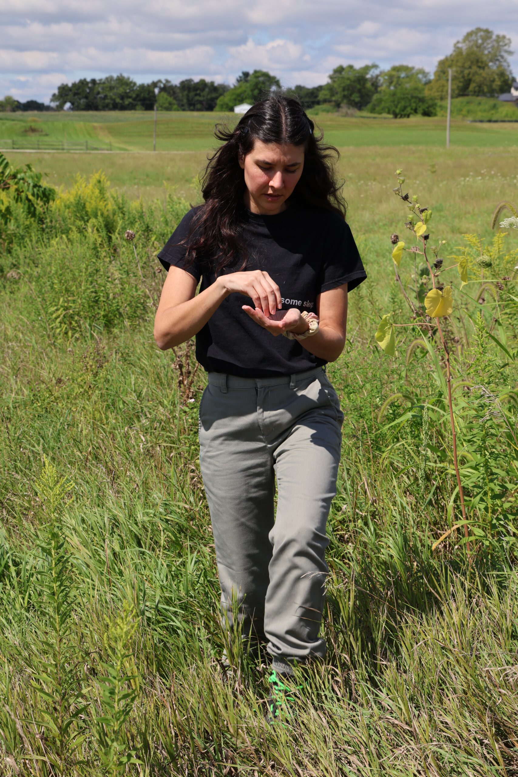 Lydia Cheshewalla, gathering on the land
