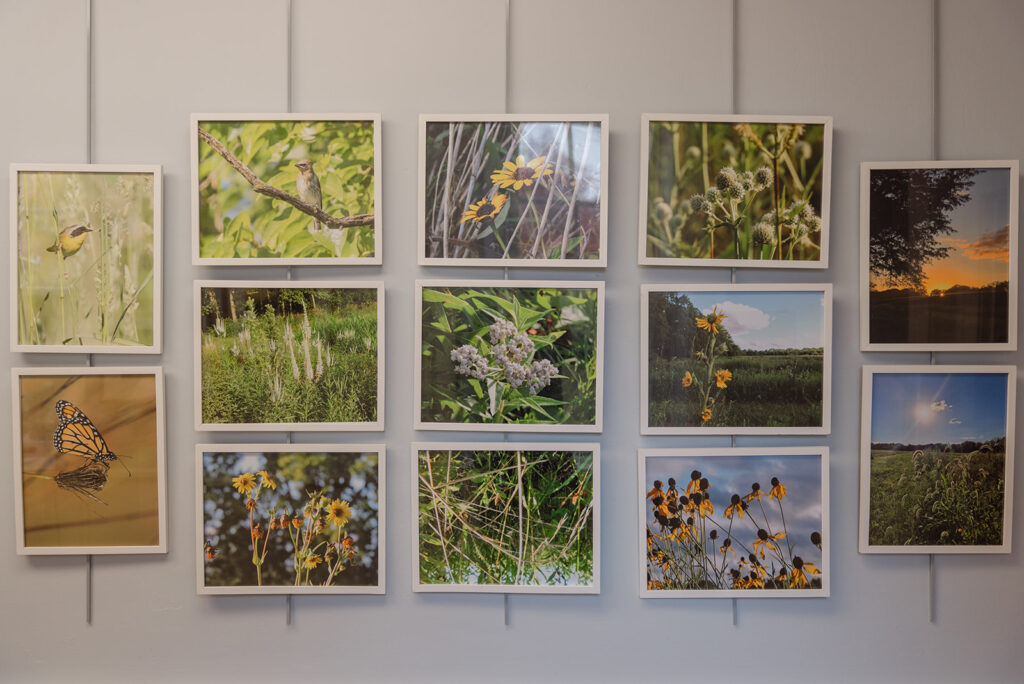 Photos from At Ease Paint and Photo the Prairie