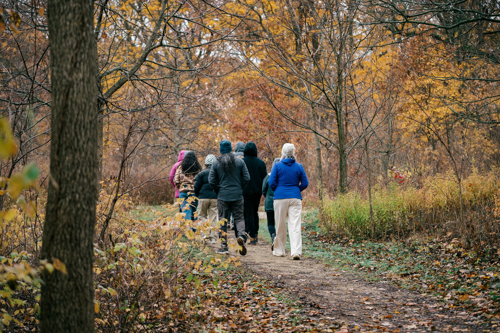 A group of people walk through the woods