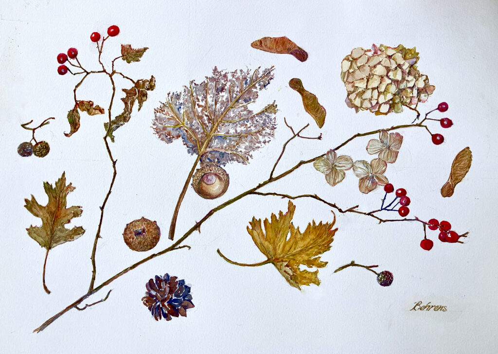 Winter - Rest and Rejuvenate, by Beverly Behrens