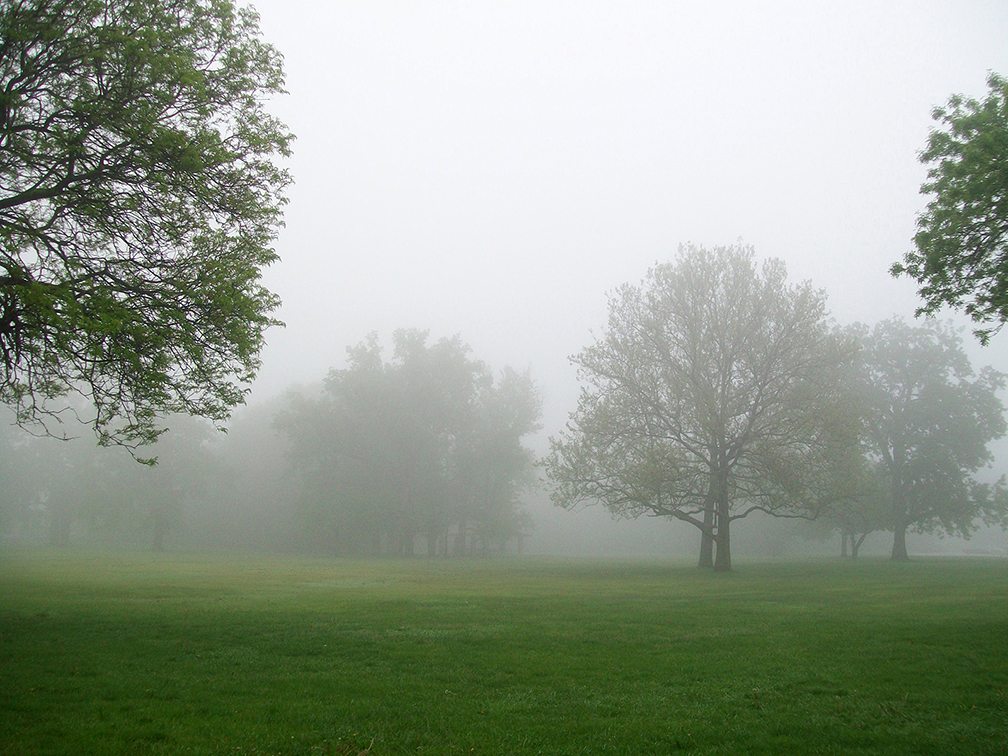 Get Lost by Carol Luc