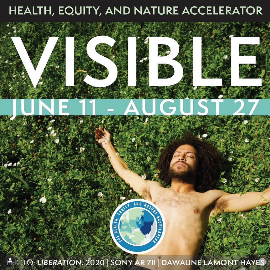 Visible Photo: Liberation, 2020 SONY AR 711 Dawaune Lamont Hayes