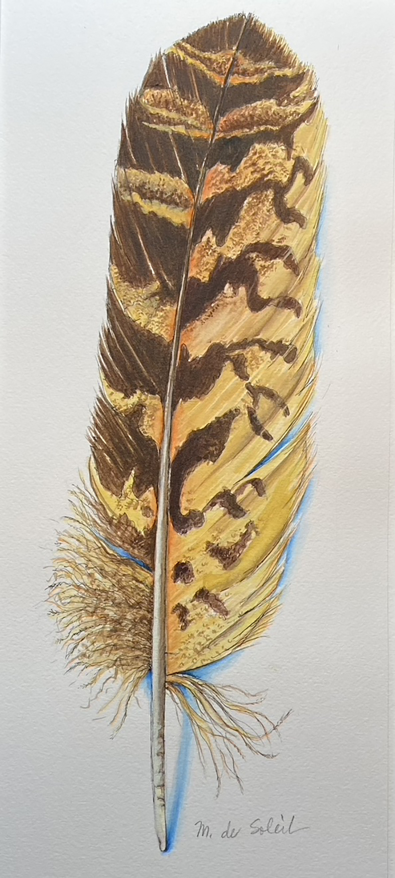 Owl Feather by Margarete de Soleil