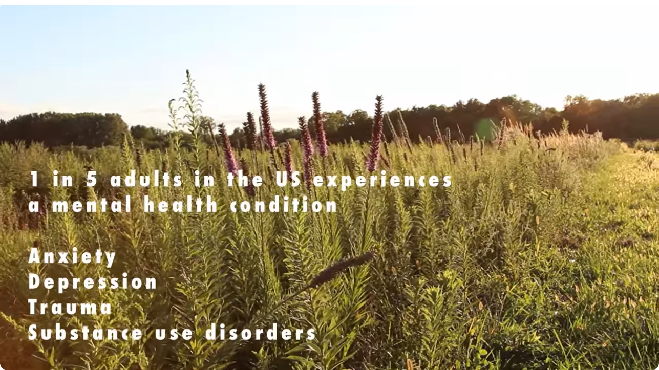 Nurturing Mental Health: The Power of Nature and the Arts